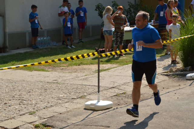 Falunap 2017